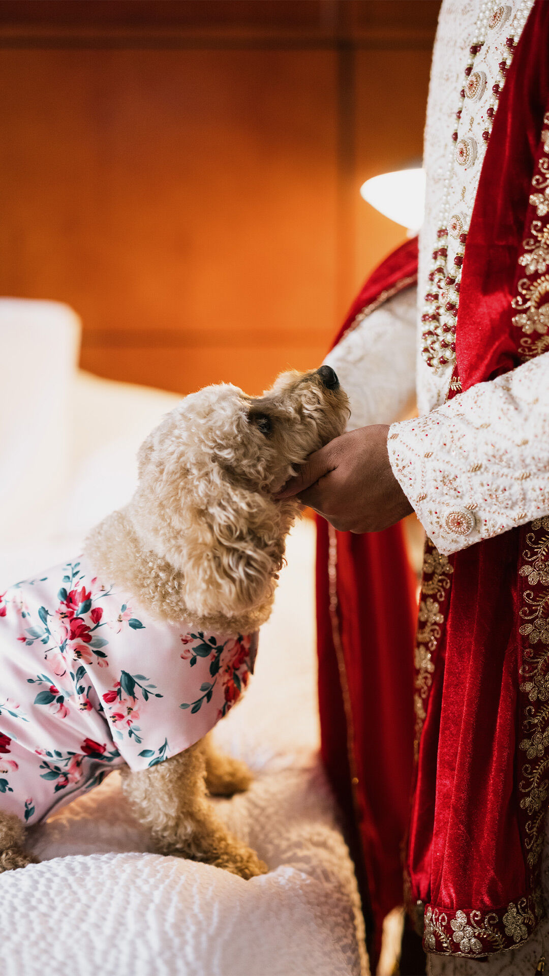 a groom with his pet Dog as a part of the wedding party